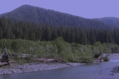 Hoh River with Olympic Mountains