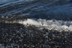 Waves Lapping on Beach 03