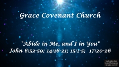 Abide in Me, and I in You - John 6:53-59; 14:16-21; 15:1-5; 17:20-26