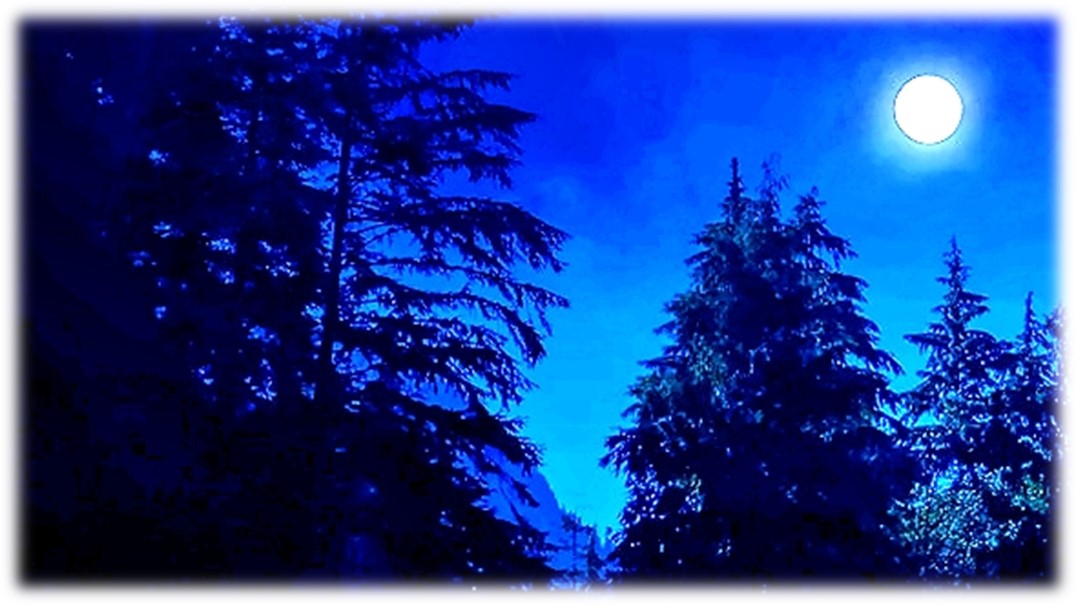 Cold Moon