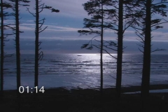 Olympic Peninsula Vistas