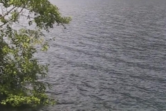 Crescent Lake with Branches on Left