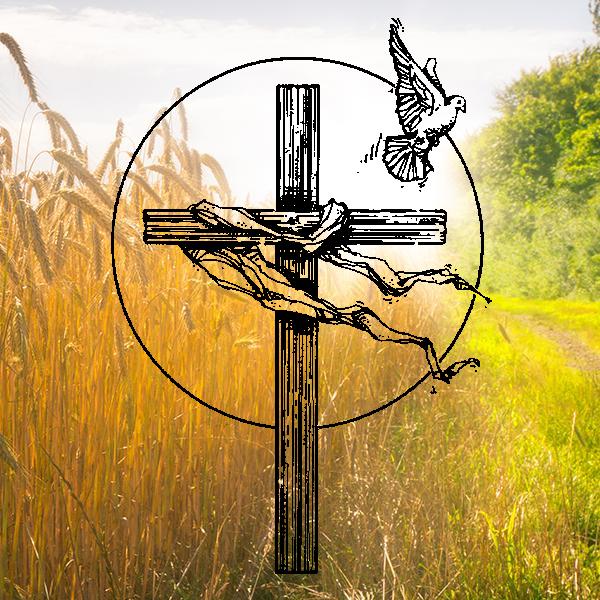 Cross with Dove Sunburst