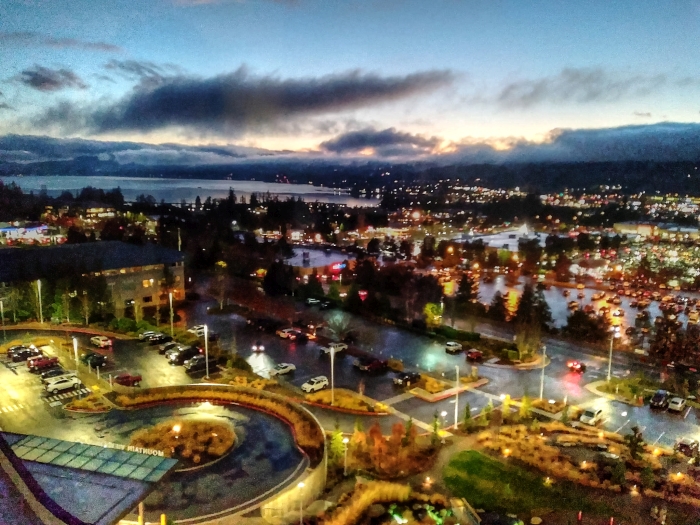View from St. Michael's Medical Center at dusk