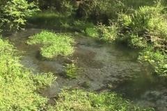 Creeks, Rivers & Wateralls