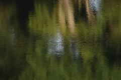 Lake Sacajawea Reflection Loop 01
