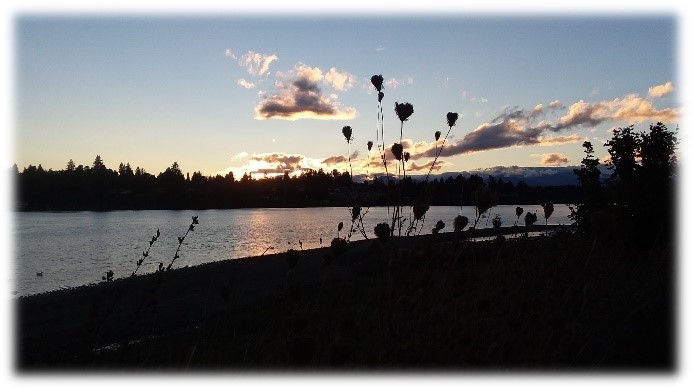 Lion's Park at Sunset