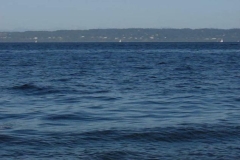 Puget Sound Loop 01