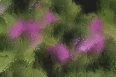 Rhododendron Loop
