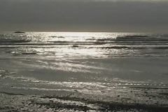 Ruby Beach Silver Surf