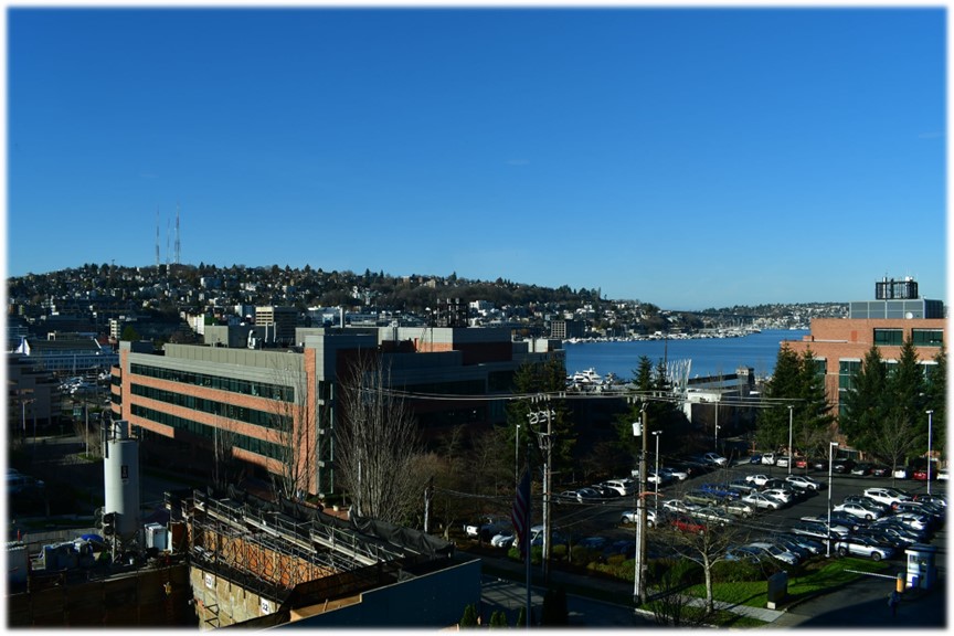 View from the 3rd floor of SCCA