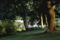 Sunlit Trees at Lake Sacajawea
