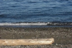 Waves Lapping on Beach with Log 07