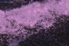 Waves Magenta Slomo 01