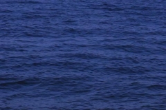 Waves Rolling Slomo Blue 08