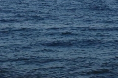 Waves Rolling 08