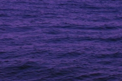 Waves Rolling Slomo Magenta 08