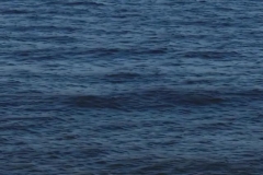 Waves Rolling Slomo TG AD 08